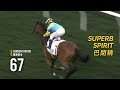 【2026/27 打吡之路 Road to the Derby】四歲新星 – 第一輯 / 4YO Rising Stars – Vol. 1
