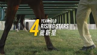 【2026/27 打吡之路 Road to the Derby】四歲新星 – 第一輯 / 4YO Rising Stars – Vol. 1