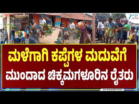 Chikkamagaluru frog wedding ritual | ಚಿಕ್ಕಮಗಳೂರಿನ ಕೊಪ್ಪಲು ಗ್ರಾಮದಲ್ಲಿ ವಿಶಿಷ್ಟ ಆಚರಣೆ