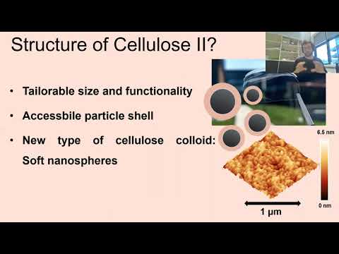 Marco Beaumont - Overcoming Current Limitations in (Nano)Cellulose Chemistry