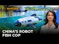 China Deploys &lsquo;Robot Fish&rsquo; to Patrol West Lake | Ecological Policing in Hangzhou | Vantage | 4K