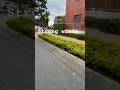 STRONG WINDS#shorts #youtubeshorts #youtube #asmr #viral #trending