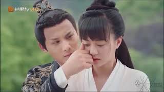Allen Su 苏醒  Leaf 叶炫清   Flower of Departure 离360P