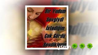 Sinan Özen Aramadim