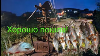 Бухтарминское водохранилище, ловля рыбы.