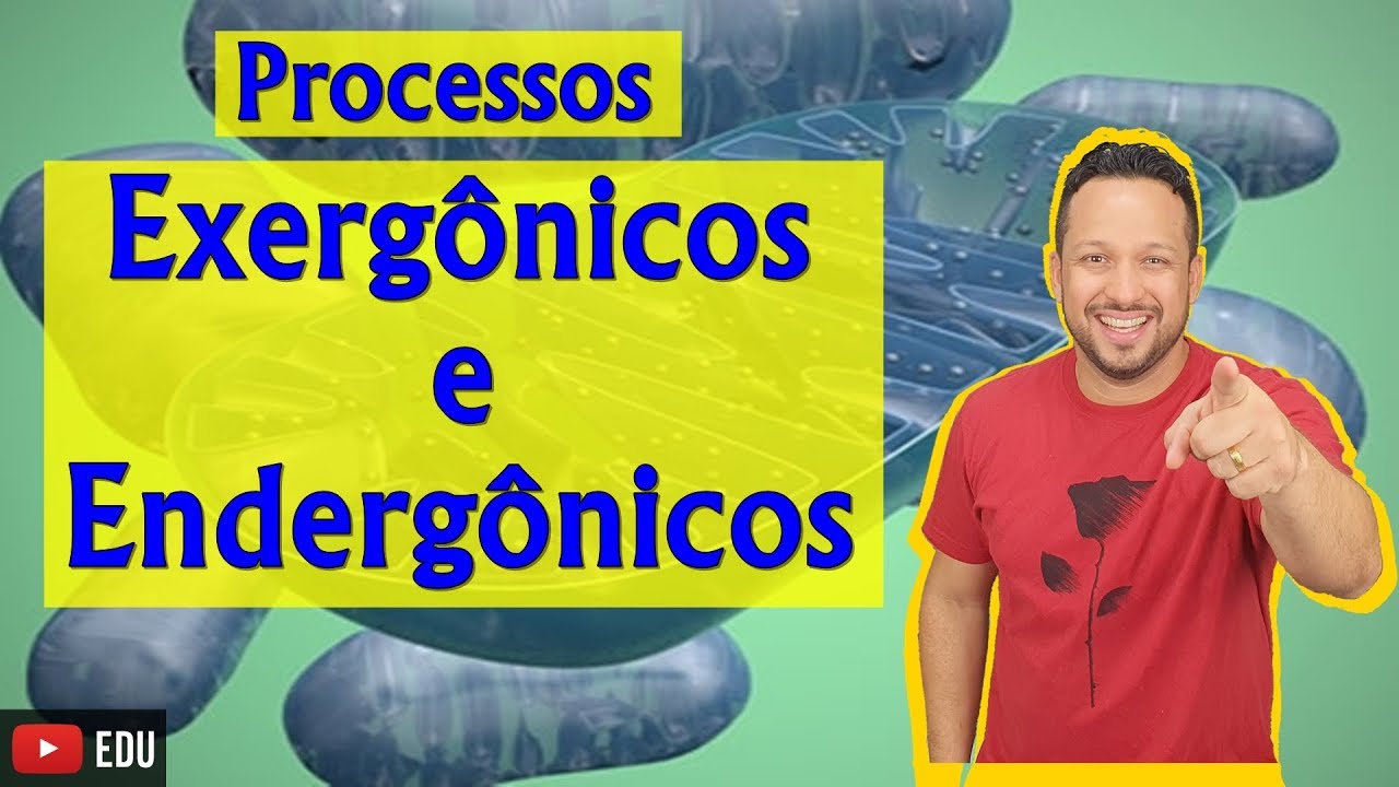 Processos Exergônicos e Endergônicos - Bioenergética - Aula 2