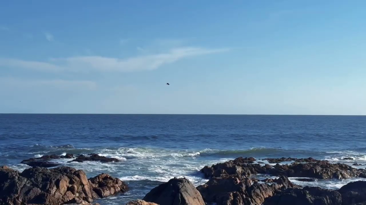 Ocean Waves at afternoon  — Natural Sea Sounds for Deep Sleep | Relax, Study & Stress Relief