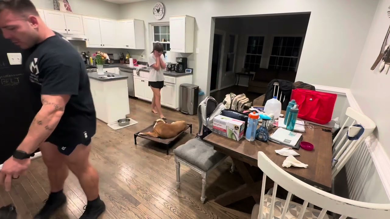 Duke| 7 Month Old English Bulldog| Offleash Trained| Amazing Results| Ecollar Trained