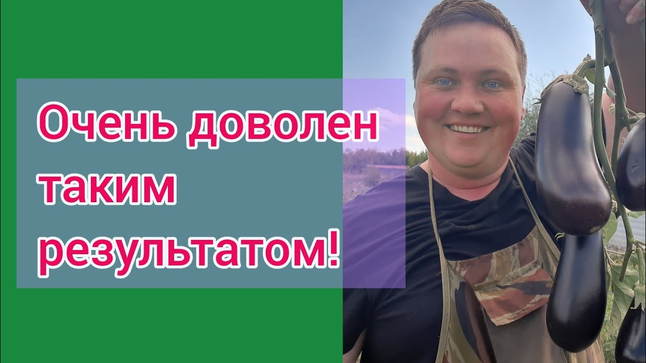 Борис Борисов Цветовод Новые Видео 2022 Года Борис Борисов Цветовод Новые Видео 2022 Года