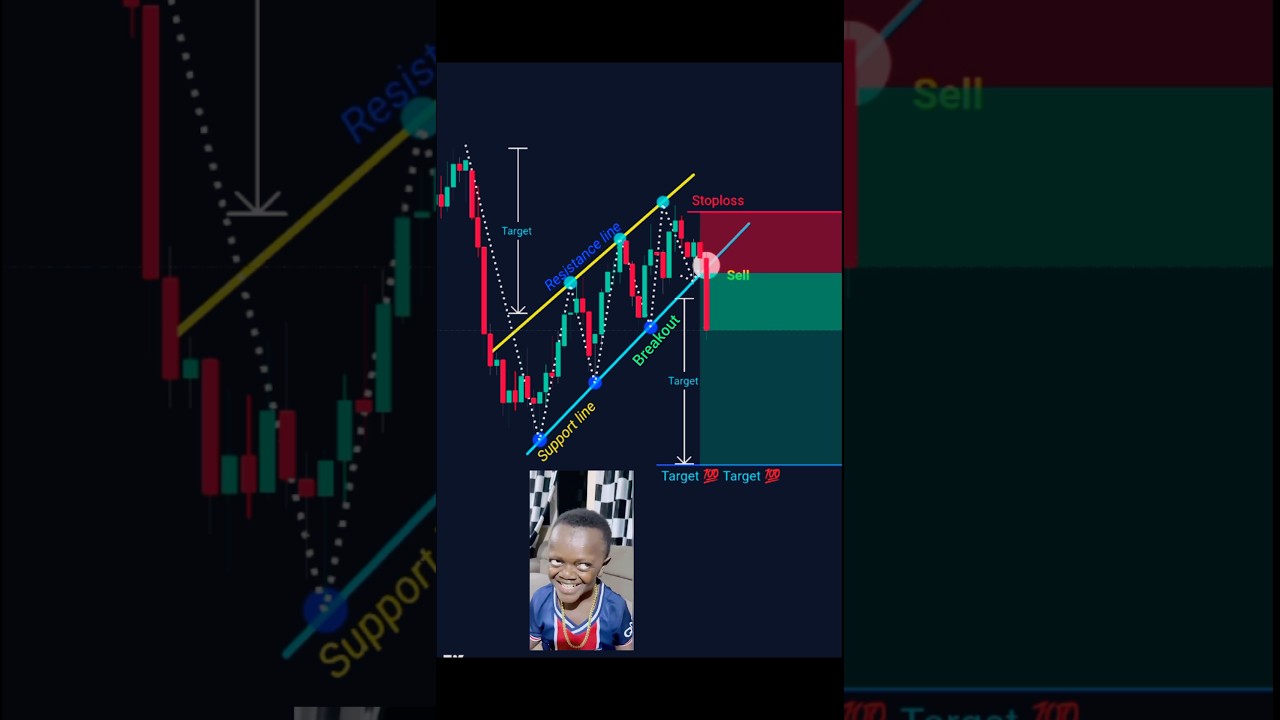 How to start trading for beginner price action strategy 