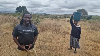 Local solutions to local problems in rural Zimbabwe 🇿🇼