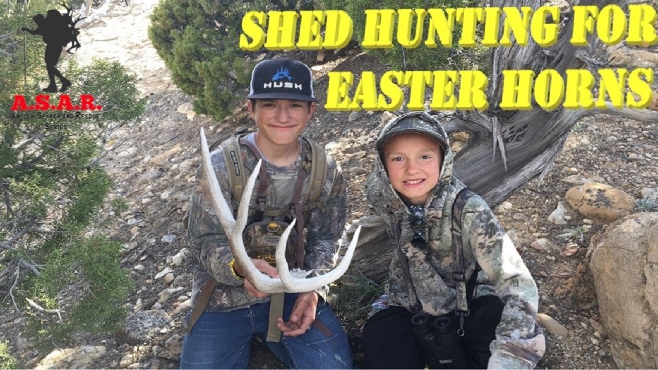 Shed Hunting for Easter Horns ASAR Eps 7 Nimrod Outdoors YouTube