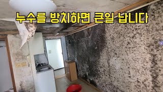 89회. 다가구주택 누수탐지하는 방법
