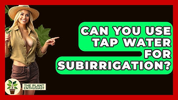 Can You Use Tap Water For Subirrigation? - The Plant Enthusiast