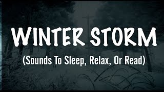 ❄️SOUNDS OF AN EXTREME WINTER STORM (Sounds To Sleep, Relax, Or Read) by Relax Me TV 29,456 views 7 years ago 7 hours, 4 minutes