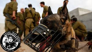 Do Israeli Rape Dungeons Include Dog Rape? | Chapo Trap House