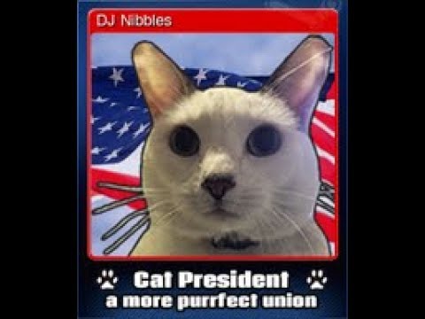 Cat President: DJ NIBBLES!!!! Ep 1