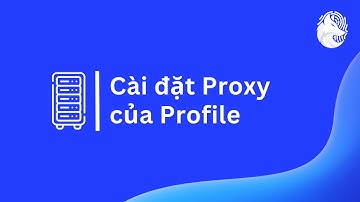 Cài đặt Proxy của Profile | Hướng Dẫn Nhanh