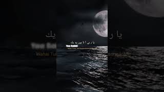 ya Maulana - Fadi tolbi,taqi ghrib