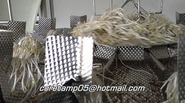 Full automatic multihead weigher packing machine for bean sprouts