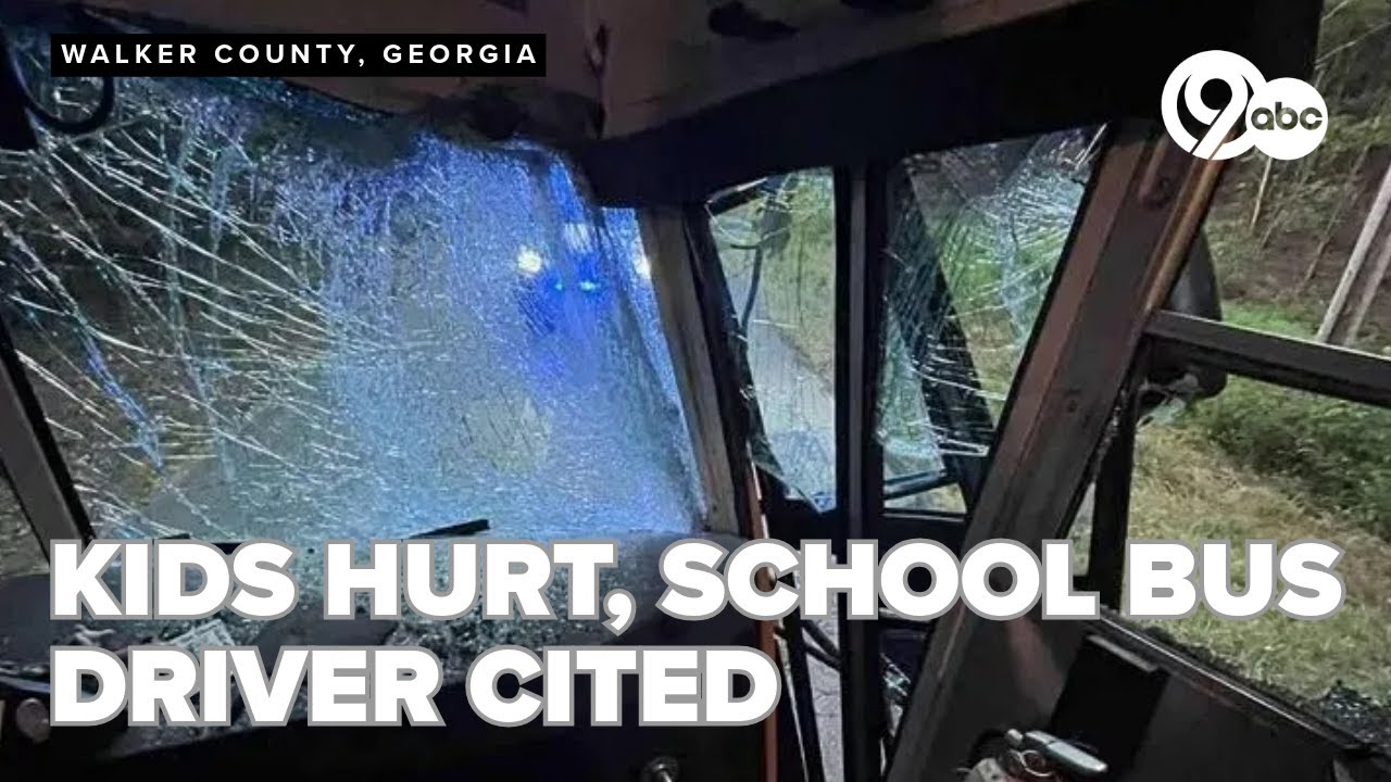 Driver cited after school bus crash sends 5 kids to the hospital in ...