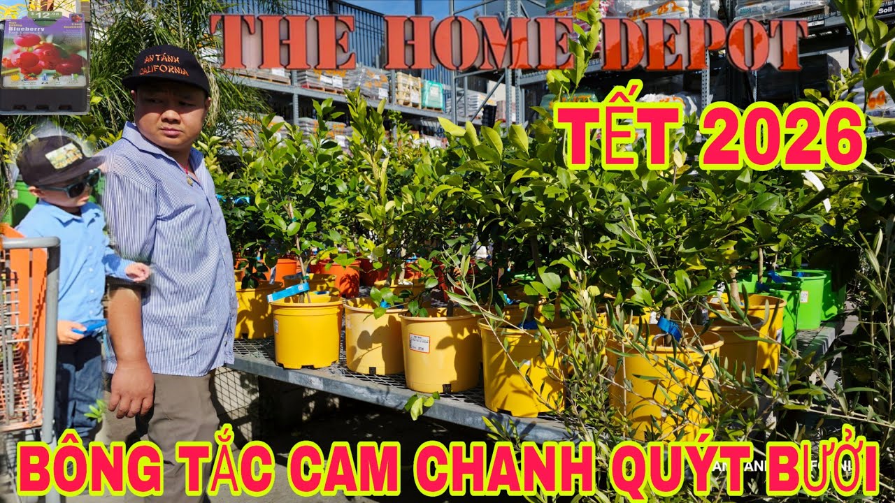 Tết 2026 | Home Depot: Ngập Tràn Tắc Bông, Cam Quýt & Đủ Loại Cây Giống Rau Củ! 🍊🧧