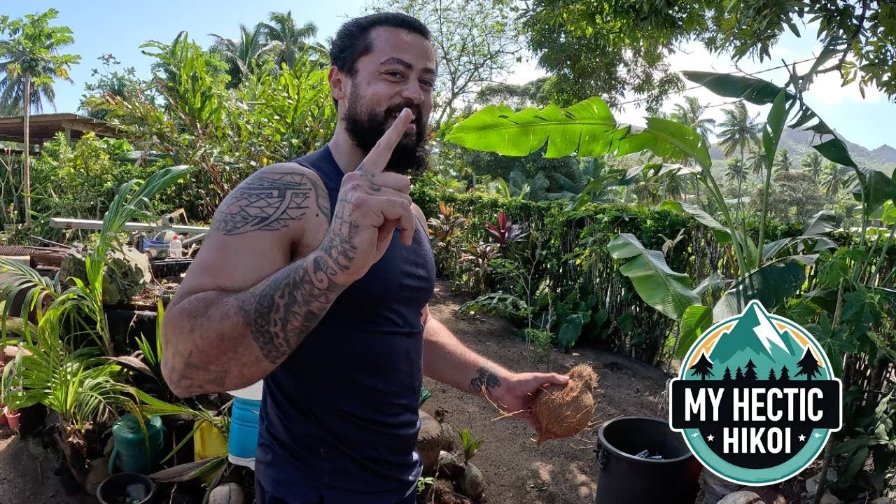 First time in Rarotonga 🇨🇰 Eating 