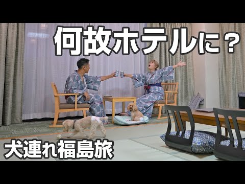 ノープランで東北へ。犬連れ夫婦がキャンプではなくホテル泊になったら部屋が〇〇すぎましたwww