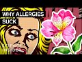 Understanding Pollen and Allergies