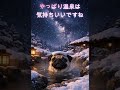 パグ温泉