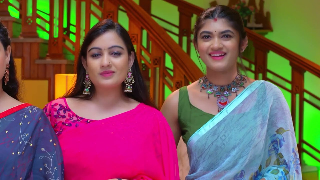 Mrs Hitler - Full Ep - 196 - Meghana Vincent, Ponnamma Babu, Arun