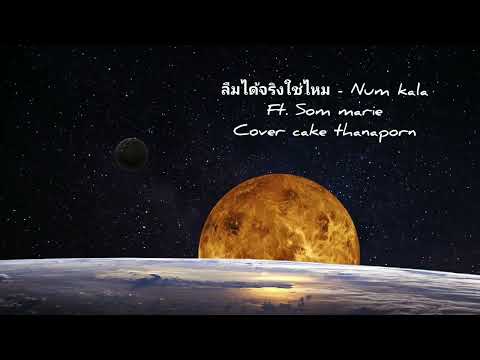 ลืมได้จริงใช่ไหม - Num kala ft.Som marie l cover cake thanaporn