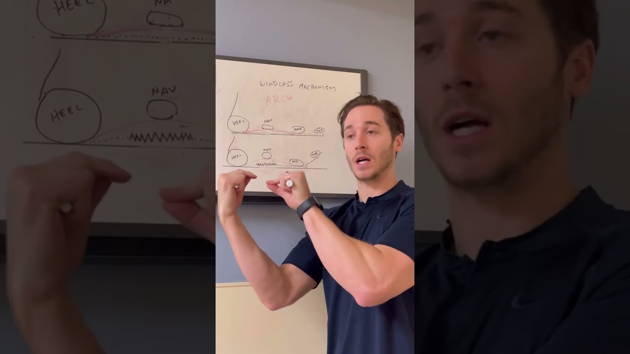 Plantar fascia - the windlass mechanism