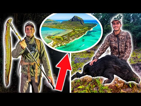I'm going hunting and fishing in Mauritius: Giant eel and wild boar in the jungle!