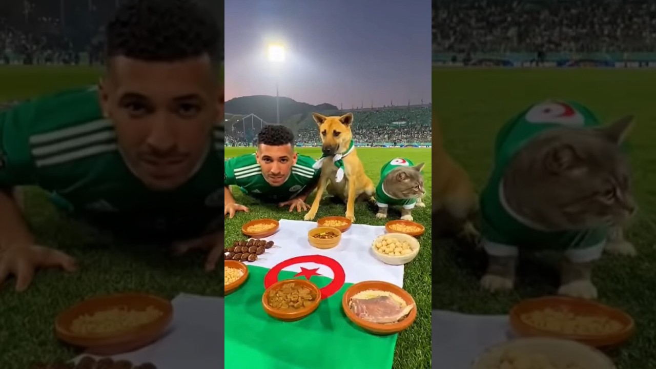 Собака, человек и кошка бросают вызов Алжиру на Кубке африканских наций 2025 в Марокко 🐶⚽ 