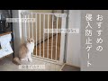 猫の侵入防止にバリアフリーなベビーゲートをおすすめしたい理由