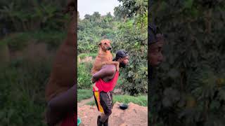 Am Looking For Red Hearts To Help Save Our Rescues ,Coment Red Hearts