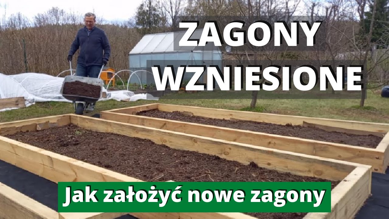 Zagony wzniesione no dig w jeden dzień. Jak założyć i czym wypełnić. Grządki podwyższane. No dig.