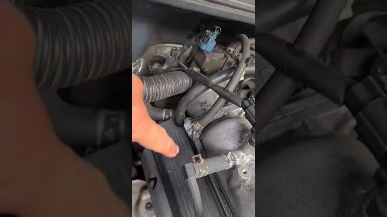 sistema  canister regula gases del tanque  de gasolina