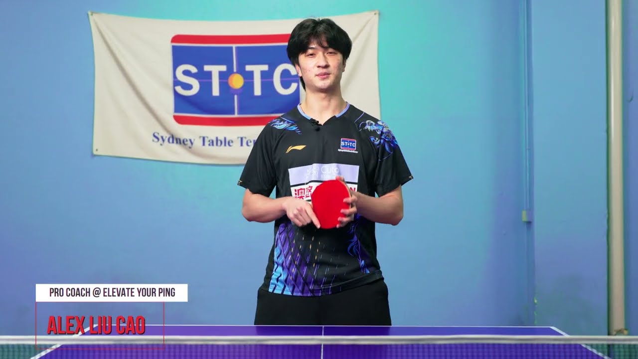 Pro Table Tennis Match Review