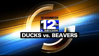 Ducks vs. Beavers Special