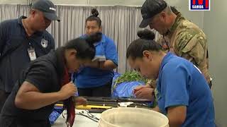 Drug Bust Samoa - Police seize over 10,000 marijuana plants