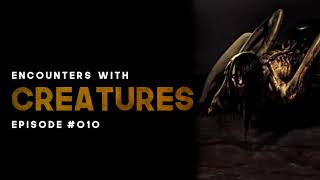 CREATURE ENCOUNTERS - EPISODE #010 - What Lurks Beneath