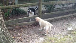 IMG 5861