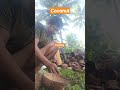 #farming #farmlife #trendingshorts