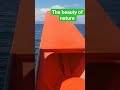 embrace the beauty of nature #naturelover