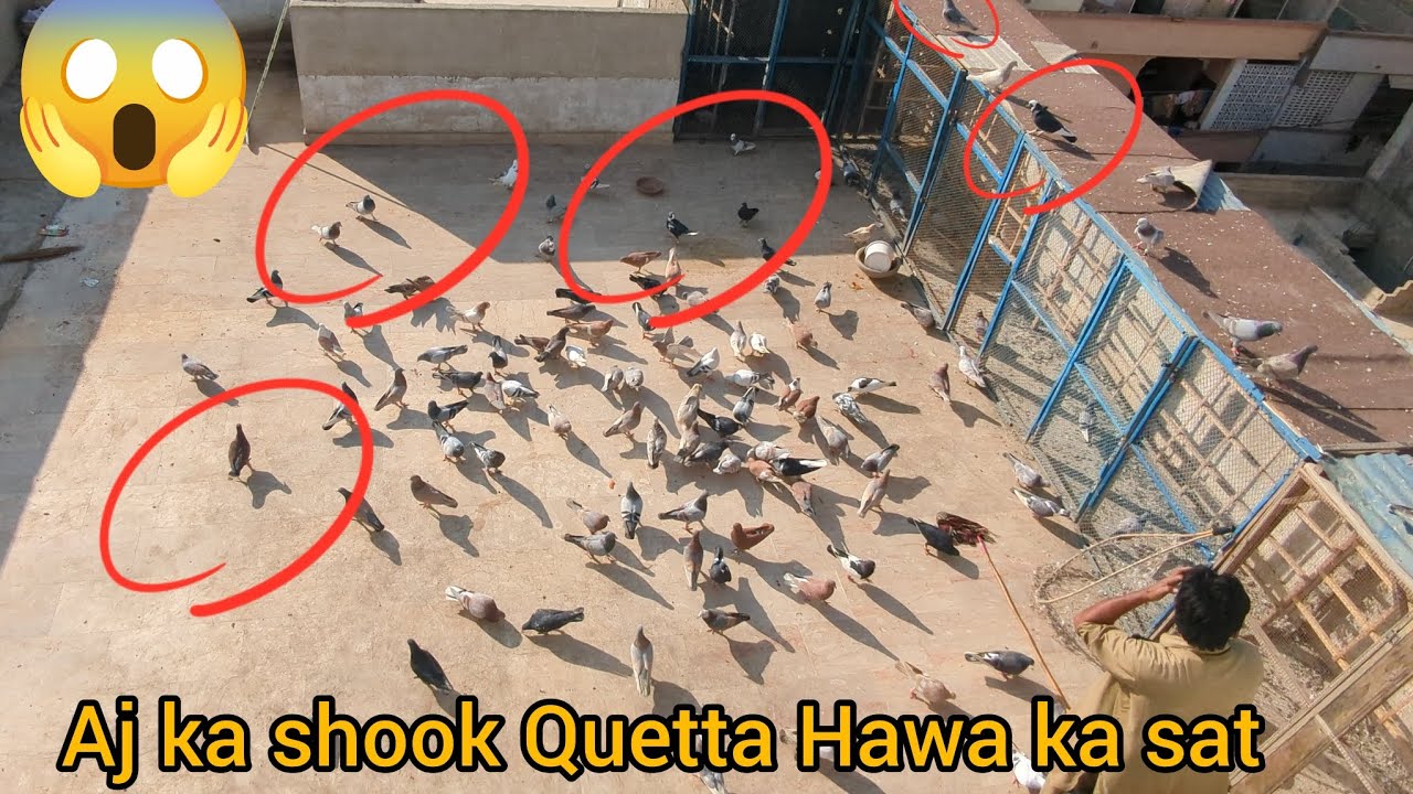 aj ka shook Quetta Hawa ka sat bhot mazza Aya hai bhai log 😱😱✌️✌️✌️🕊️🕊️