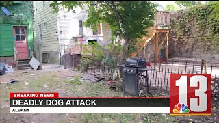 Police: Large group of dogs attacked Albany man to death