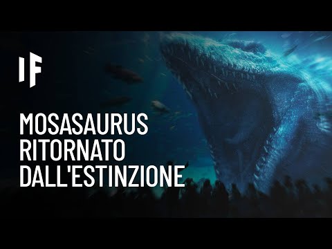 Video: I mosasauri sono ancora vivi?