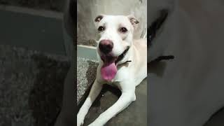 dawai Bina khae sote nahin Hai 😍🥰😅